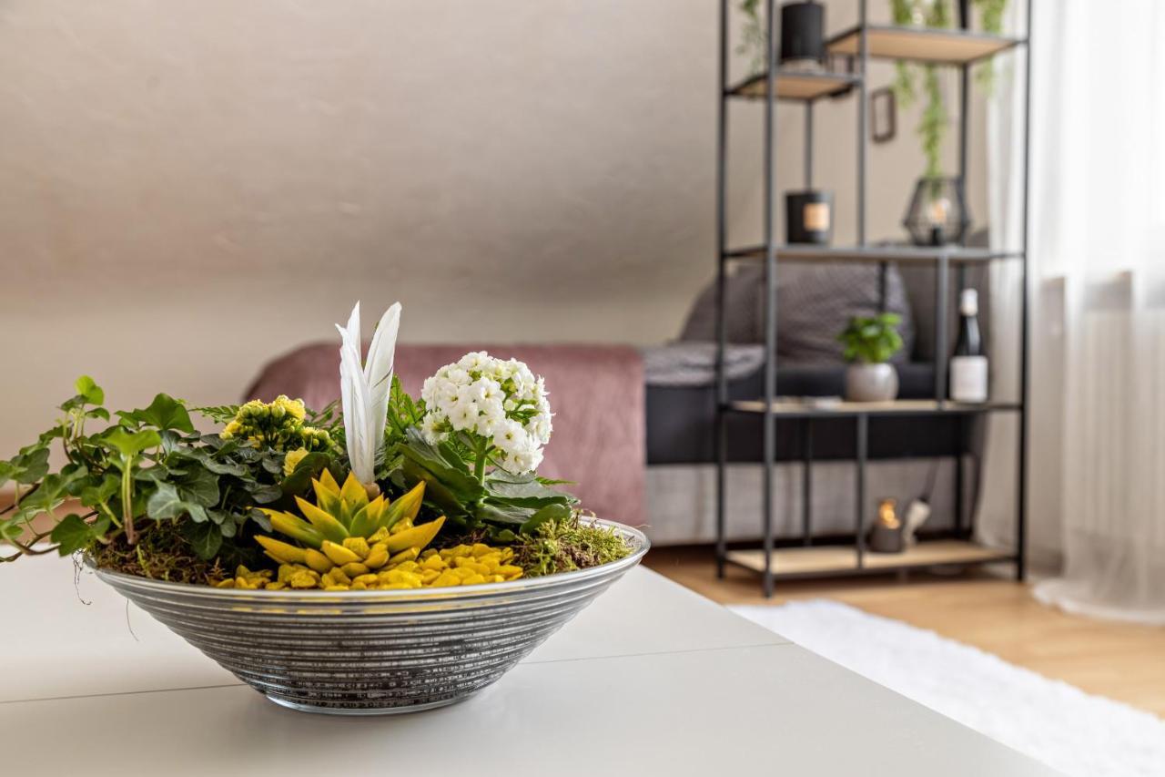 Ferienappartement Sonnenhof Triberg im Schwarzwald Ngoại thất bức ảnh