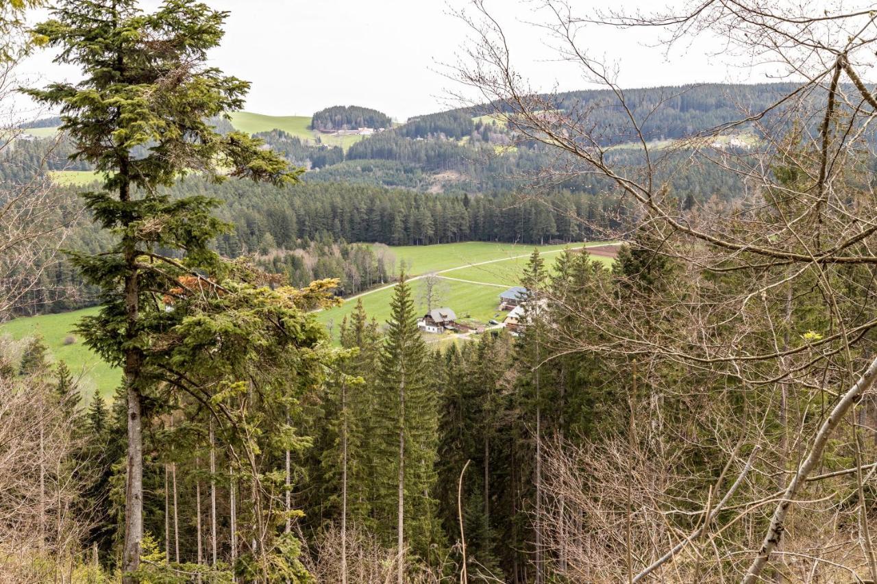 Ferienappartement Sonnenhof Triberg im Schwarzwald Ngoại thất bức ảnh